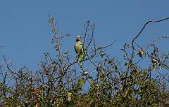 090802_Uruguay 107